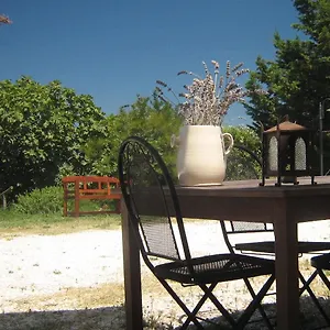 Monica San Vincenzo